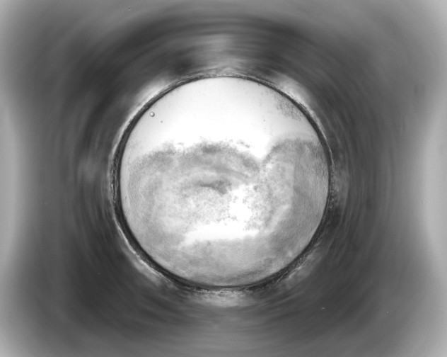 X0000086001090200704091033