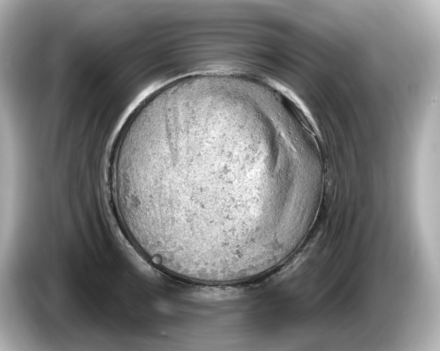 X0000086001091200704091033