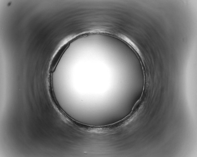 X0000086001093200704091033