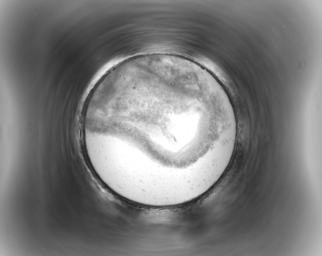 X0000086001094200704091033