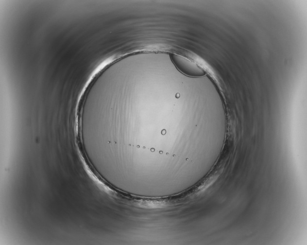 X0000086001095200704091033