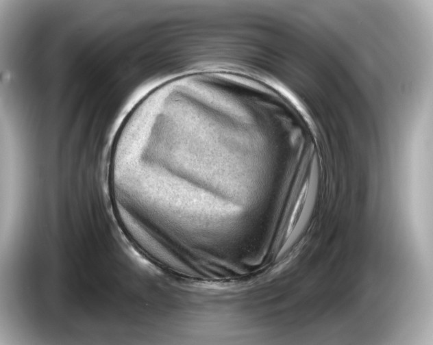 X0000086001102200704091033