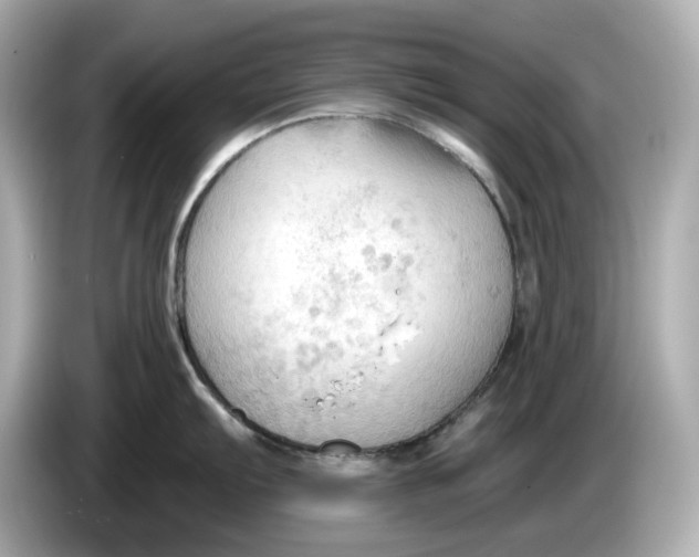 X0000086001103200704091033