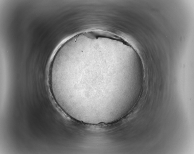 X0000086001104200704091033