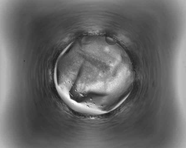 X0000086001106200704091032