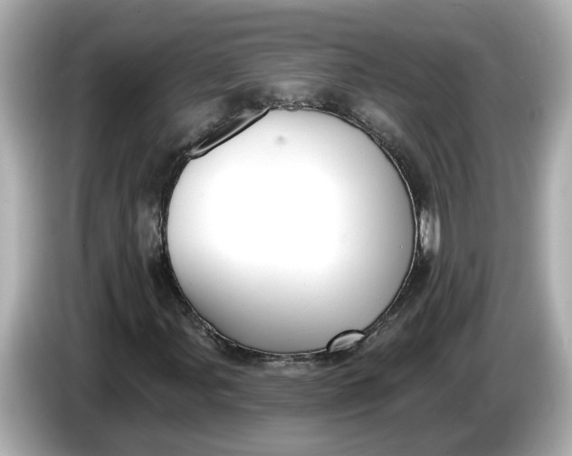 X0000086001107200704091032