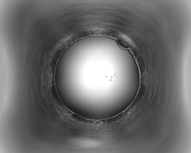 X0000086001111200704091032