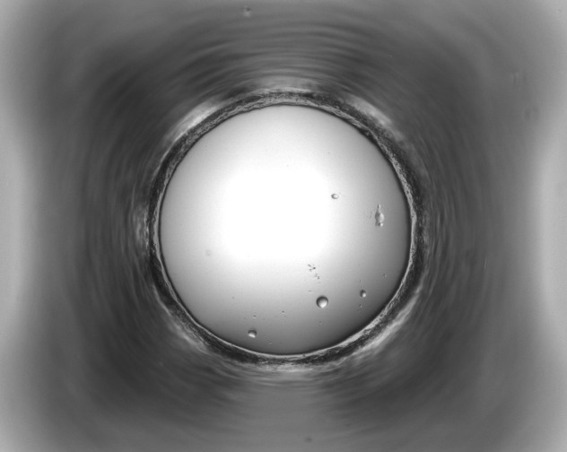 X0000086001113200704091032