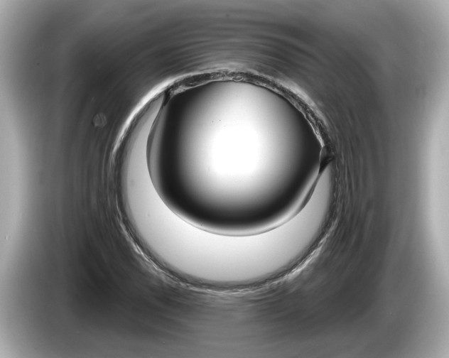 X0000086001118200704091032