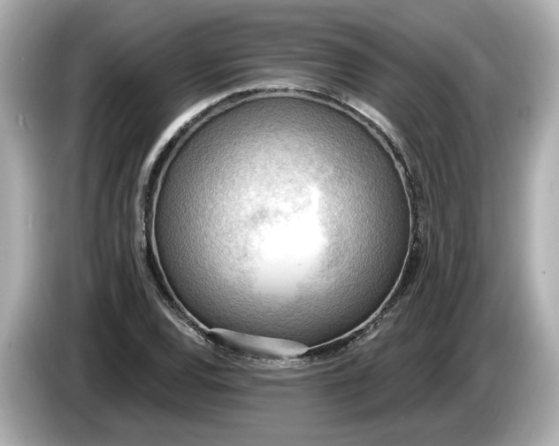 X0000086001120200704091032