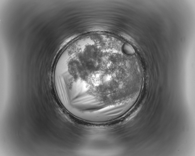 X0000086001121200704091032