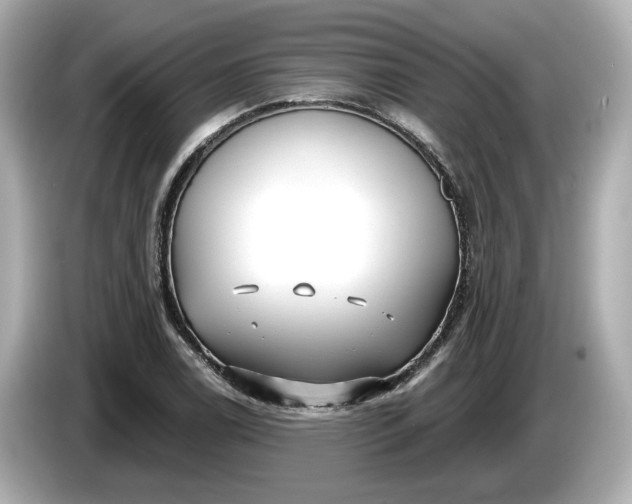 X0000086001122200704091032