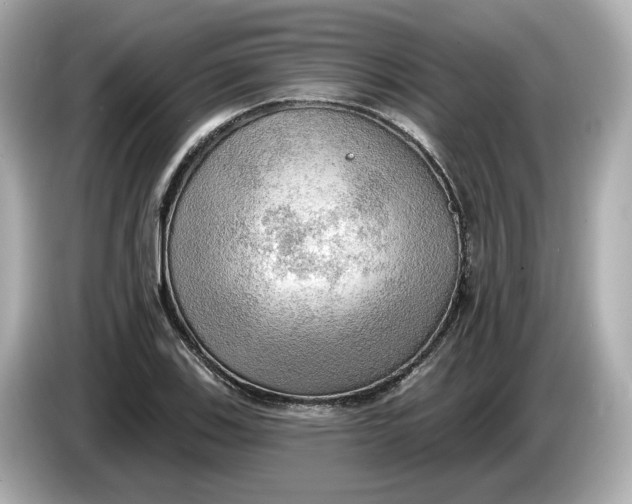 X0000086001123200704091032