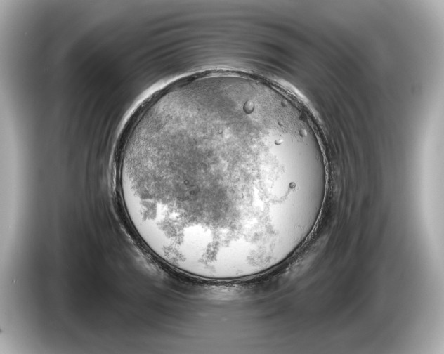 X0000086001125200704091032