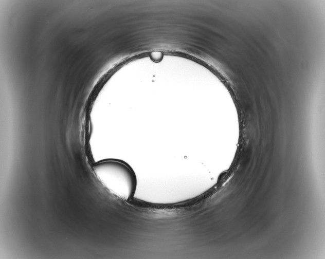 X0000086001126200704091032