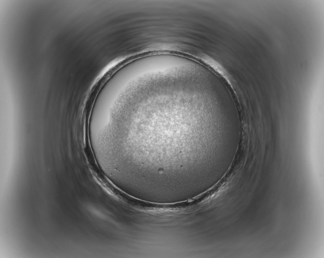 X0000086001127200704091032