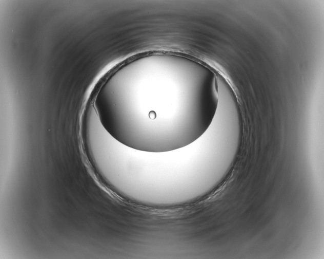 X0000086001128200704091032