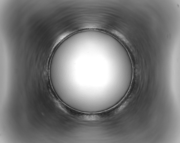 X0000086001129200704091032