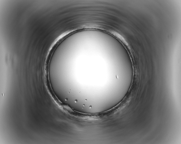 X0000086001133200704091033