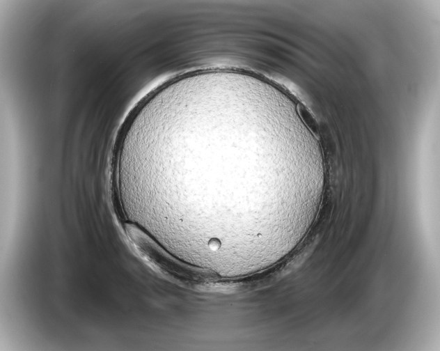 X0000086001134200704091033