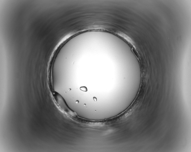 X0000086001135200704091033