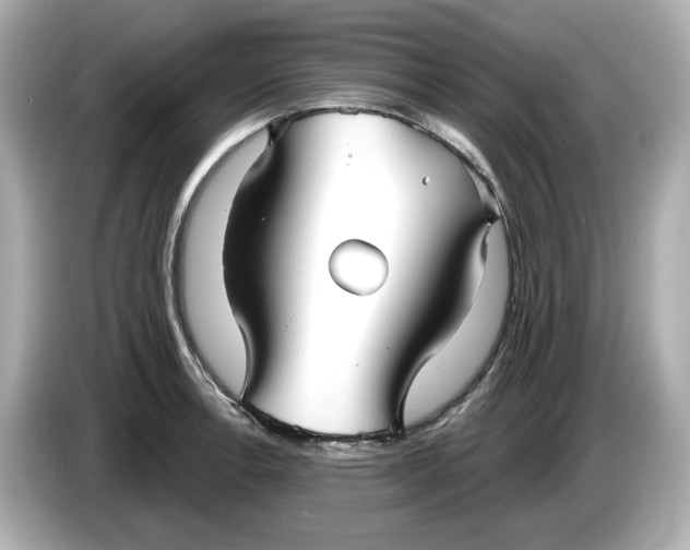 X0000086001138200704091033