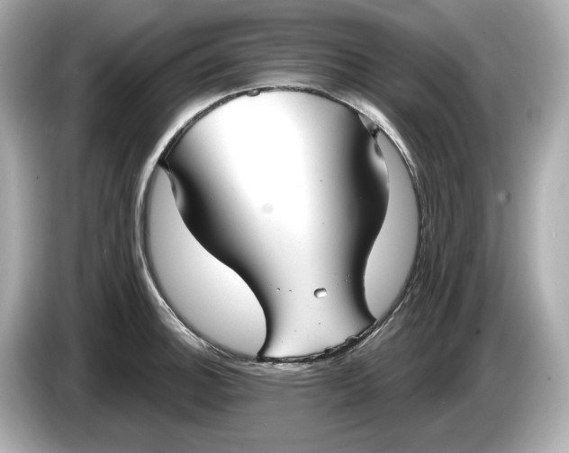 X0000086001140200704091033