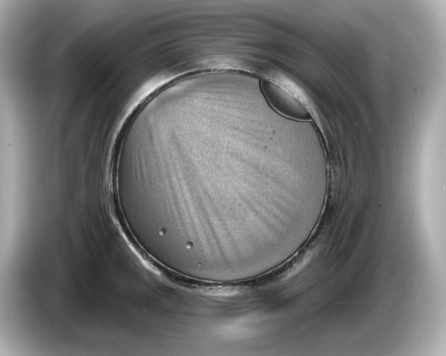 X0000086001141200704091033