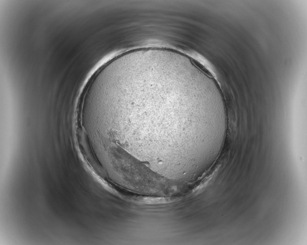 X0000086001142200704091033