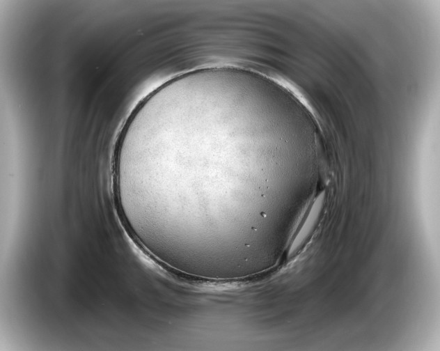 X0000086001143200704091033