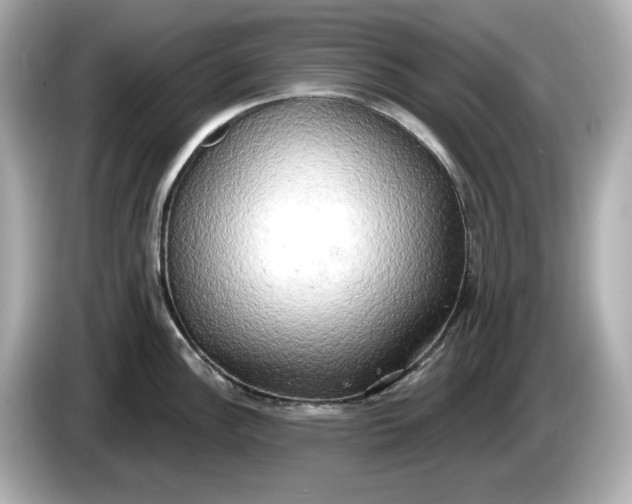 X0000086001148200704091033