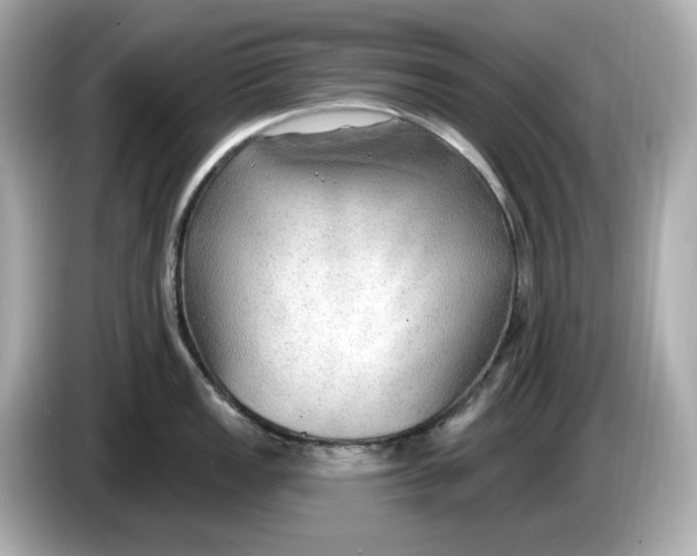 X0000086001149200704091033