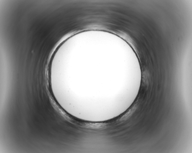 X0000086001150200704091033