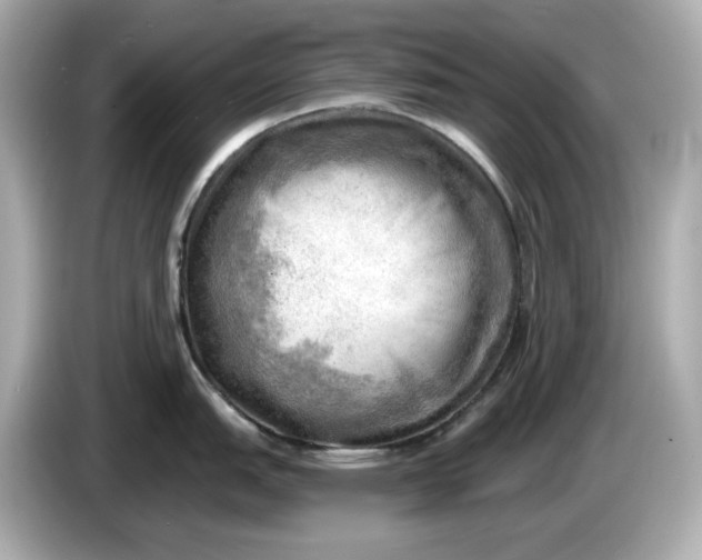 X0000086001151200704091033