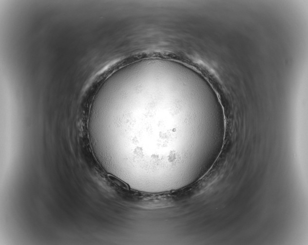 X0000086001159200704091032