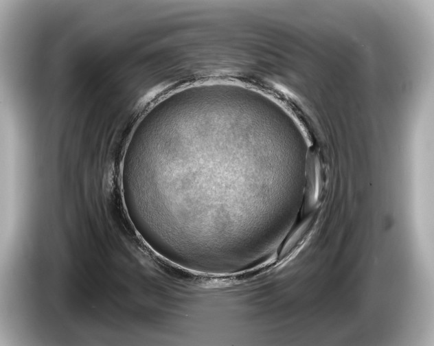 X0000086001161200704091032