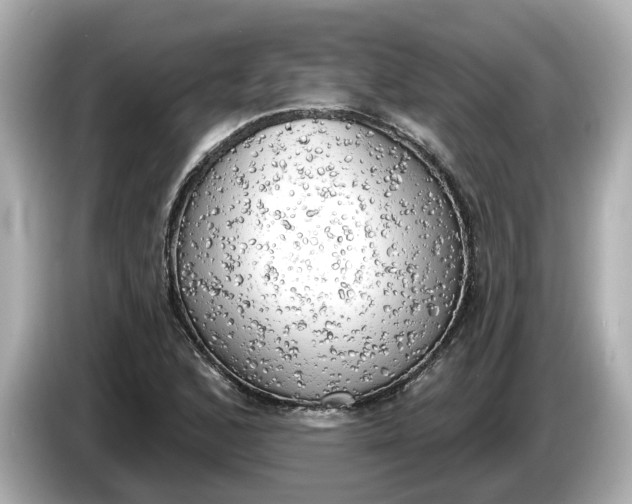 X0000086001168200704091032