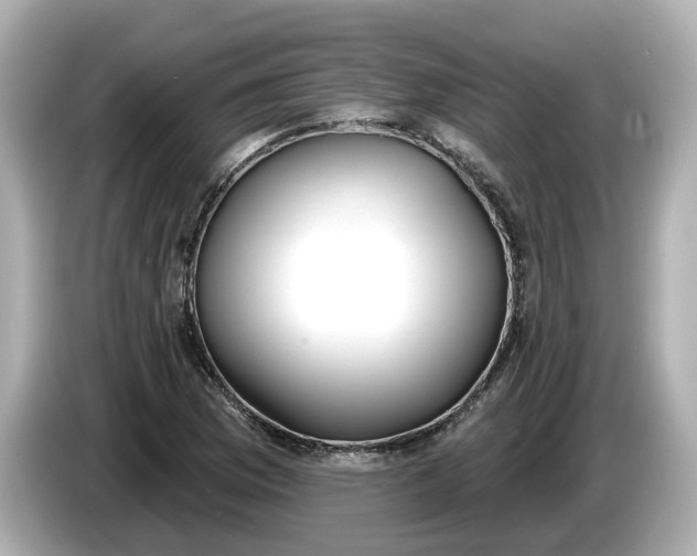 X0000086001169200704091032