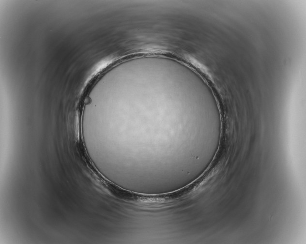 X0000086001171200704091032