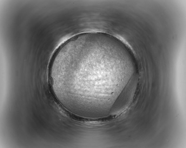 X0000086001173200704091032