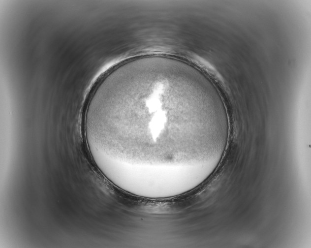 X0000086001174200704091032