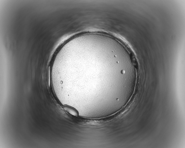 X0000086001175200704091032