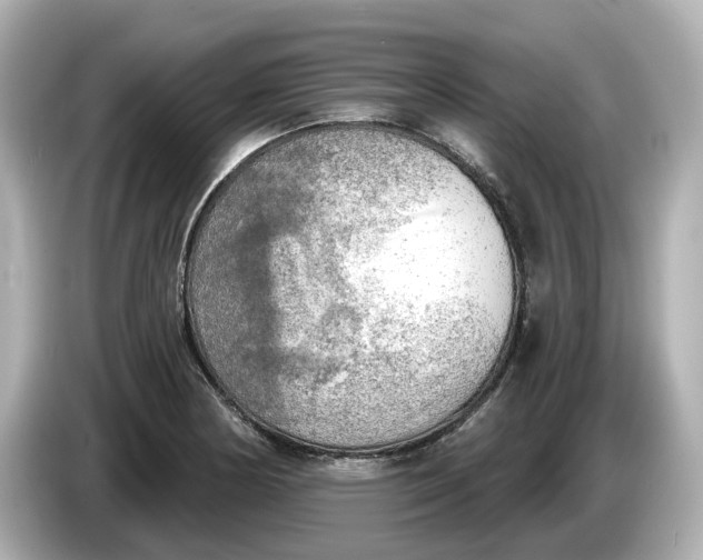 X0000086001178200704091032