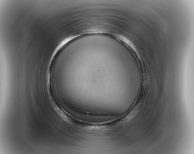 X0000086001179200704091032