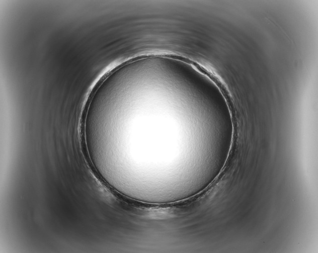 X0000086001181200704091032