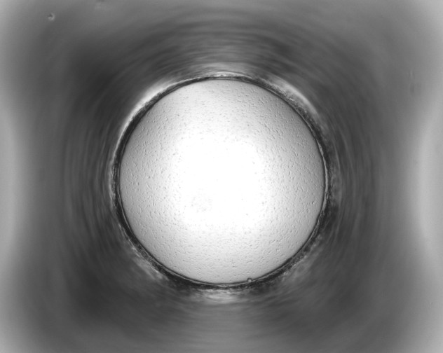 X0000086001182200704091032