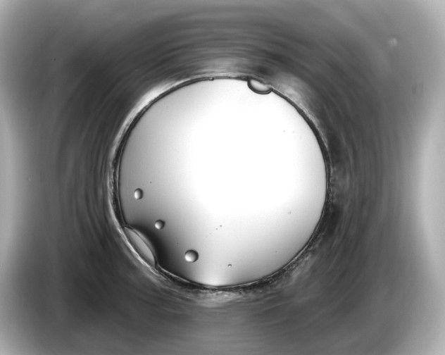 X0000086001187200704091032