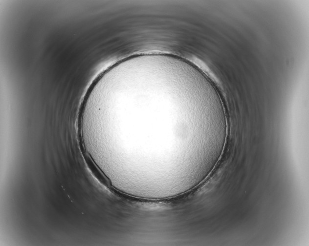 X0000086001189200704091032