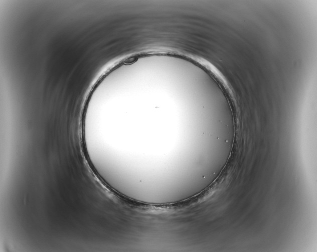 X0000086001191200704091032