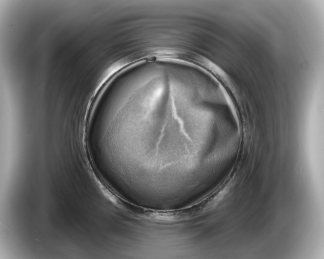 X0000086001194200704091032